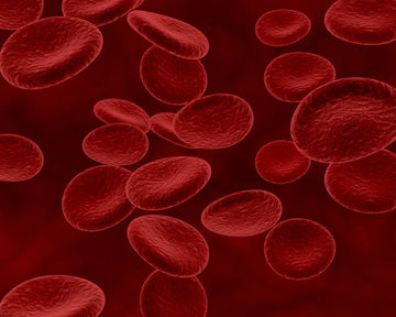 Anemia causa queda de cabelo? Veja como prevenir e reverter!